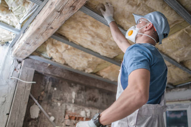 Best Insulation Maintenance and Repair in Greenville, VA