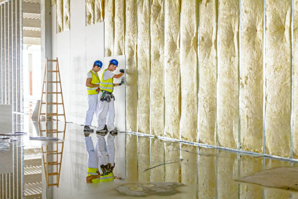 Best Residential Insulation in Greenville, VA